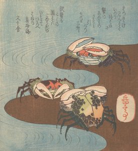 Kraby w pobliżu brzegu wody, ca. 1830.