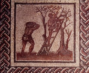 Gallo Roman Art: mozaika przedstawiająca rustykalny kalendarz. Scena zbierania oliwek. Koniec II, początek III wieku po JC. Z Saint-Romain-en-Gal (Rhone). Saint Germain en Laye, Narodowe Muzeum Archeologiczne autorstwa Gallo Roman