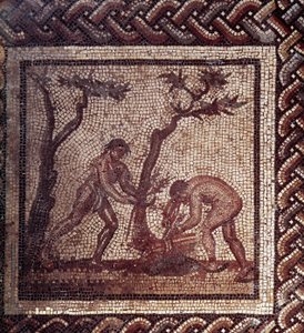 Gallo Roman Art: mozaika przedstawiająca rustykalny kalendarz. Scena krycia strzechą. Koniec II, początek III wieku po JC. Z Saint-Romain-en-Gal (Rhone). Saint Germain en Laye, Narodowe Muzeum Archeologiczne autorstwa Gallo Roman