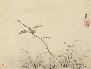  autorstwa Gao Qipei