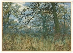 Drzewa i poszycie, 1885. autorstwa Garden William Fraser