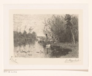 Kaczki wzdłuż i na brzegu jeziora Siusiu kaczki (tytuł oryginalny) autorstwa Geo Poggenbeek (signed by artist)