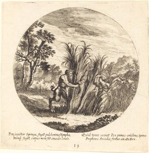 Patelnia i Syrinx