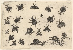 Małe motywy owadów i roślin, 1596. autorstwa Georg Herman