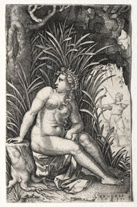 Prokrys, 1539. autorstwa Georg Pencz