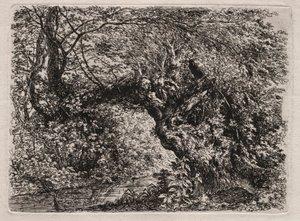 Stara wierzba nad potokiem, 1794. autorstwa Georg von Dillis