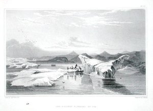 Delfin ściśnięty przez lód, z „Narracji o podróży do brzegów Morza Polarnego w latach 1819-22” Sir Johna Franklina (1786-1847) rycina Edwarda Findena (1791-1857) opublikowana w latach 1823-28 (kolor rytownictwo)