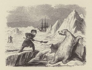 Młody Nelson zabija niedźwiedzia polarnego (rycina)