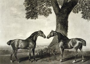Dwóch Łowców, grawerowane przez G.T. Stubbs (bap.1748-c.1815) (lito) (patrz także 266802)