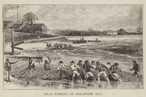 Łowienie shadów w zatoce Delaware autorstwa George Augustus Sala