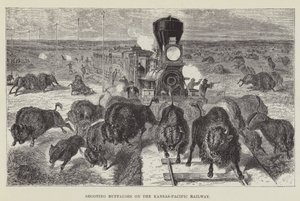 Strzelanie do bawołów na linii kolejowej Kansas-Pacific autorstwa George Augustus Sala