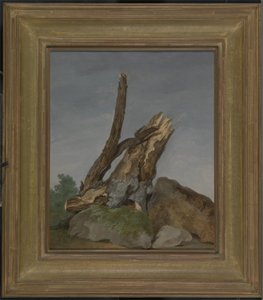Studium skał i gałęzi, ok. 1795 (olej na papierze)