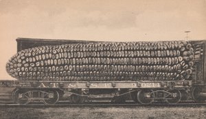 Ładunek samochodu Texas Corn, ca. 1910. autorstwa George B. Cornish