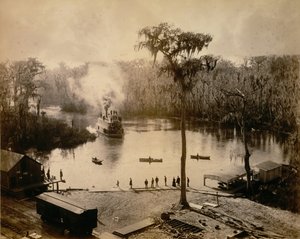 Stern-Wheeler Przybycie do Silver Springs na Florydzie, po nocnym biegu na St. John..., 1886.
