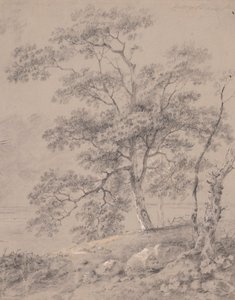 Studium drzewa autorstwa George Barret