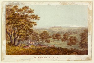  autorstwa George Baxter