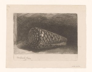 Muszla autorstwa George Bickham (II)
