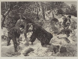 Dzień fretek w Święta Bożego Narodzenia autorstwa George Bouverie Goddard