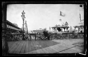 Cables and Iron Cow, Coney Island, Brooklyn, ok. 1872-87 (negatyw kolodionu mokrego)
