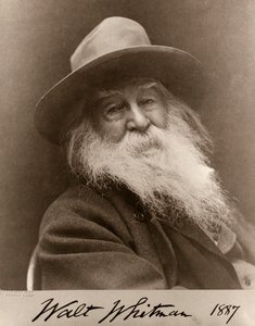 Portret Walta Whitmana w 1887 r. autorstwa George C. Cox