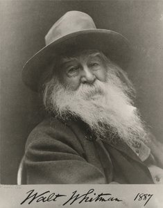 Walta Whitmana autorstwa George C. Cox