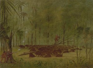 Walka z Pekariami - Caribbe, 18541869. autorstwa George Catlin