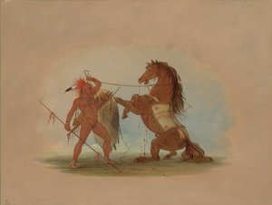 Wojownik Pawnee poświęcający swojego ulubionego konia, 18611869. autorstwa George Catlin
