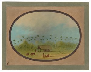  autorstwa George Catlin
