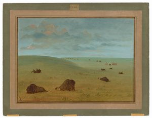 Po pogoni za bizonami - Sioux autorstwa George Catlin