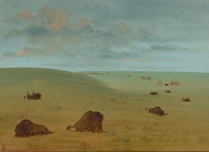Po pogoni za bizonami - Siuks, 18611869. autorstwa George Catlin