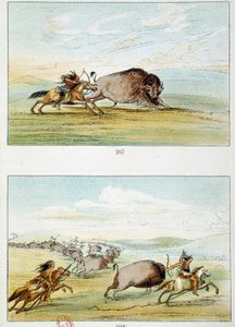 Indianie amerykańscy: polowanie na żubry. Ilustracja George