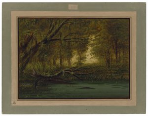  autorstwa George Catlin