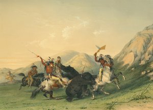 Atak niedźwiedzia grizzly autorstwa George Catlin