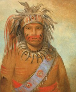 Au-nim-muck-kwa-um, Burzowy Ptak autorstwa George Catlin