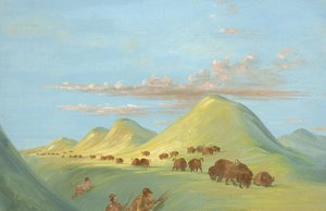 Batiste, Bogard i ja zbliżamy się do Buffalo na Missouri, 1837-1839. autorstwa George Catlin