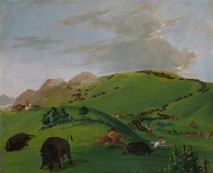 Buffalo Chase, Ujście rzeki Yellowstone autorstwa George Catlin