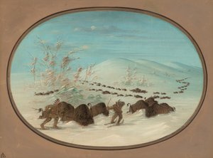 Buffalo Chase w zaspach śnieżnych - Ojibbeway, 18611869. autorstwa George Catlin
