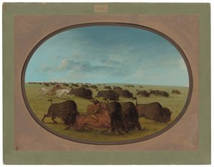 Buffalo Chase, z wypadkami autorstwa George Catlin