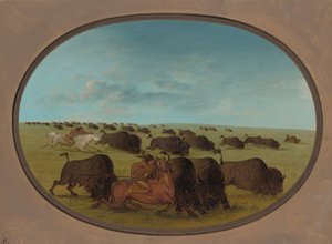 Buffalo Chase, z wypadkami, 18611869. autorstwa George Catlin