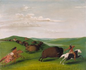 Pościg za bizonem z łukami i lancami autorstwa George Catlin