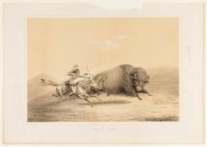 Polowanie na bizony, pościg nr. 5 autorstwa George Catlin