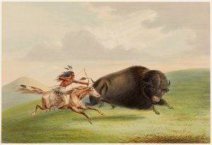 Polowanie na bizony, pościg autorstwa George Catlin