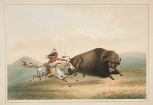 Polowanie na bawoły, Chase, pl. 5 z portfolio Indian północnoamerykańskich autorstwa George Catlin