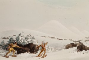 Polowanie na bizony na rakietach śnieżnych