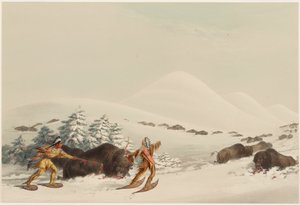 Polowanie na bizony na rakietach śnieżnych autorstwa George Catlin