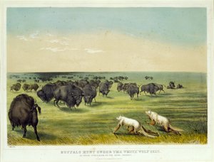 Polowanie na bizony pod skórą białego wilka autorstwa George Catlin