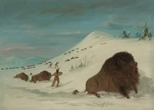 Buffalo Lancing in the Snow Drfts - Sioux, 18611869. autorstwa George Catlin