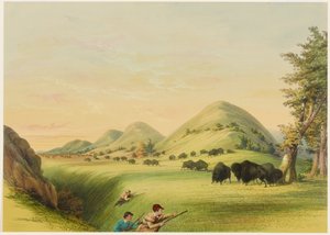 Polowanie na bizony, zbliżanie się w wąwozie autorstwa George Catlin