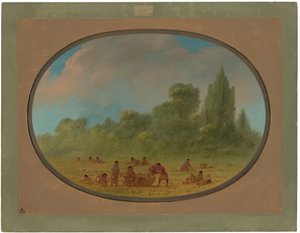 Indianie Caddo zbierają dzikie truskawki autorstwa George Catlin