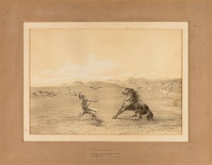Łapanie dzikiego konia - nr. 4 autorstwa George Catlin